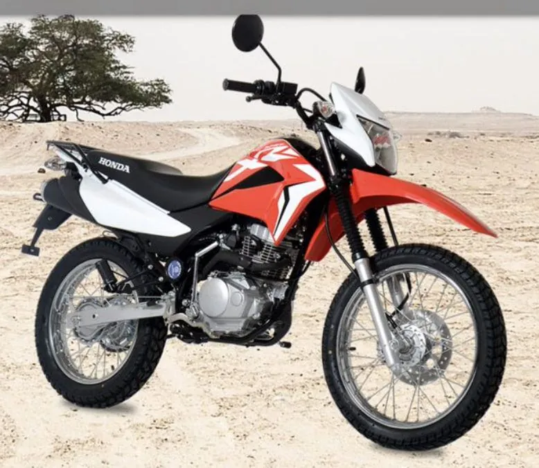 A white, red and black dual-sport motorbike parked on pale sand with a bare tree behind it.